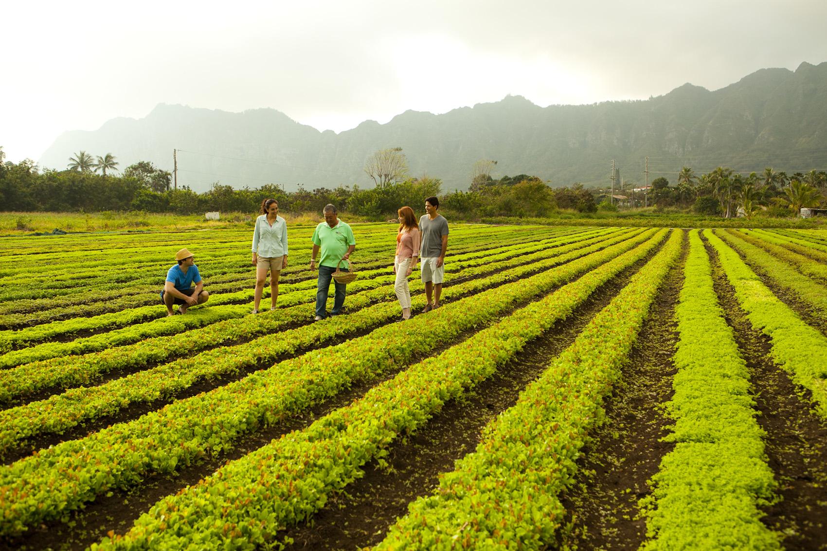 agriculture and tourism